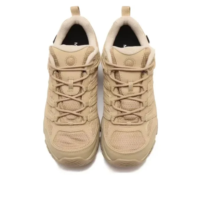 Moab 3 SYN Gore-Tex “Incense”